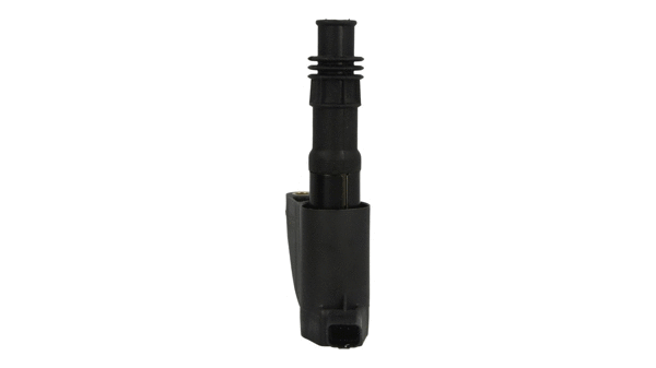 Ignition Coil (521 382)