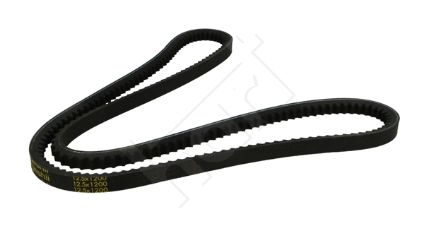 V-Belt (334 198)