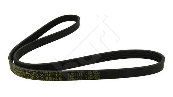 V-Ribbed Belt (368 863)