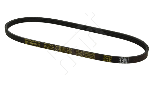 V-Ribbed Belt (334 262)