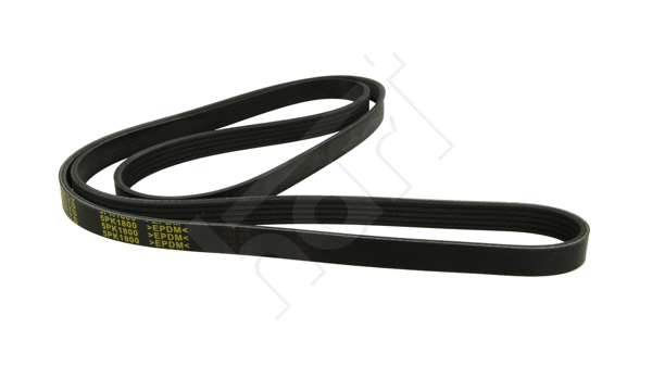 V-Ribbed Belt (368 885)