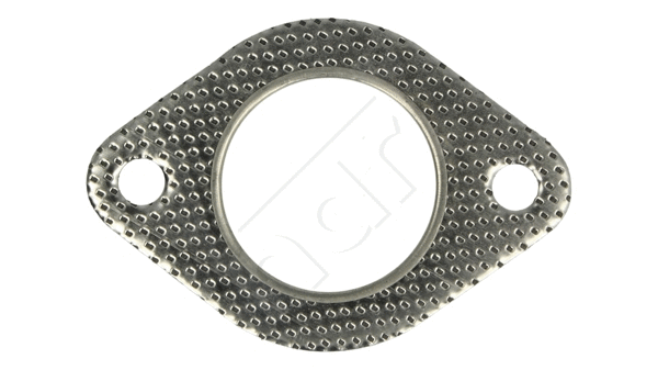 Gasket, exhaust pipe (701 818)