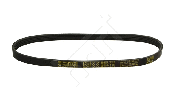 V-Ribbed Belt (917 766)