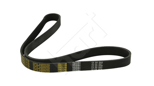 V-Ribbed Belt (917 761)