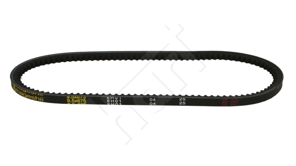 V-Belt (305 641)