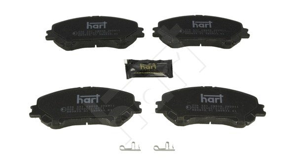 Brake Pad Set, disc brake (256 551)