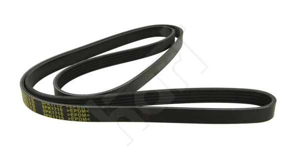V-Ribbed Belt (368 880)
