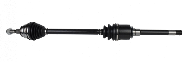 Drive Shaft (456 755)