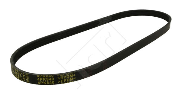 V-Ribbed Belt (368 856)