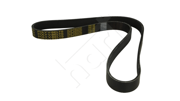 V-Ribbed Belt (917 792)