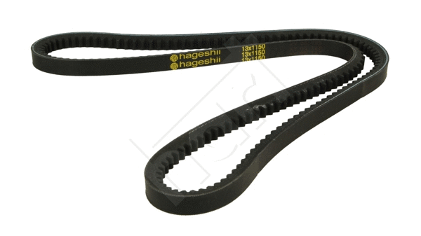 V-Belt (338 034)