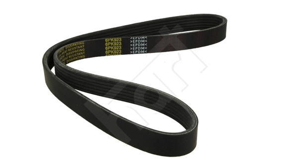 V-Ribbed Belt (334 019)
