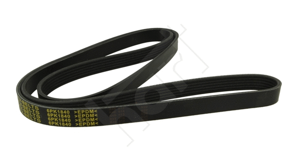 V-Ribbed Belt (368 965)