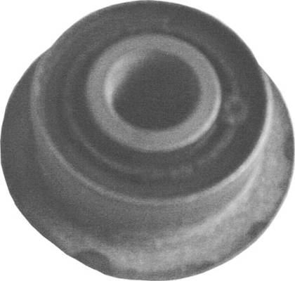 Mounting, control/trailing arm (422 727)