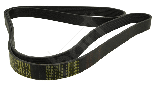 V-Ribbed Belt (369 013)