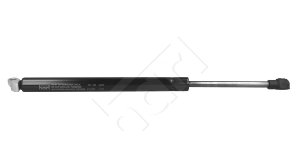 Gas Spring, boot/cargo area