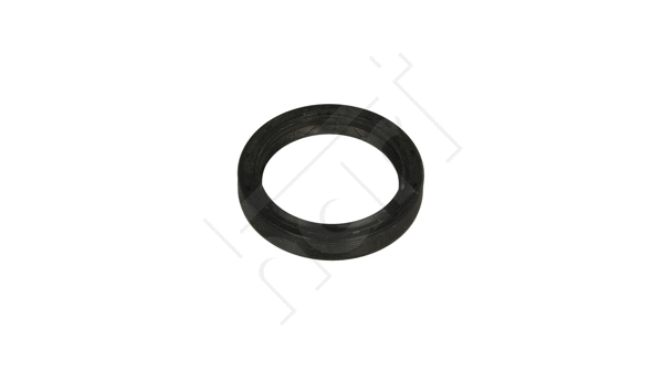 Shaft Seal, differential (711 704)