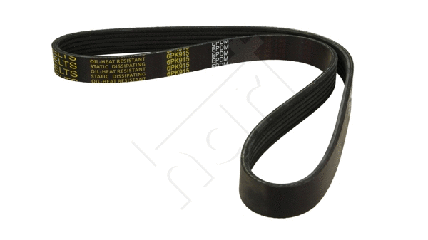 V-Ribbed Belt (334 309)