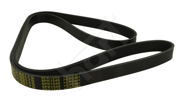 V-Ribbed Belt (368 947)