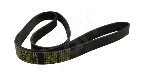 V-Ribbed Belt (369 010)