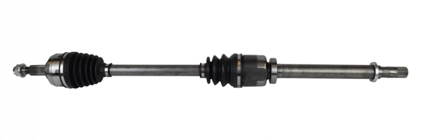 Drive Shaft (462 008)
