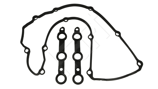 Gasket Set, cylinder head cover (717 884)