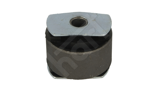 Mounting, control/trailing arm (437 040)