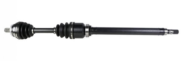 Drive Shaft (462 190)