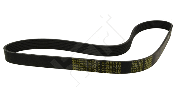 V-Ribbed Belt (369 007)
