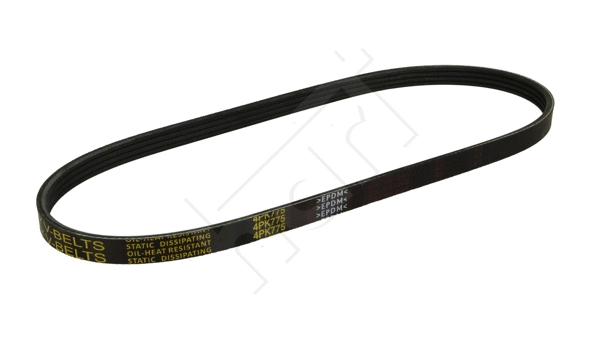 V-Ribbed Belt (334 258)
