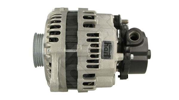 Alternator (534 348)