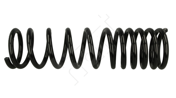 Suspension Spring (446 578)