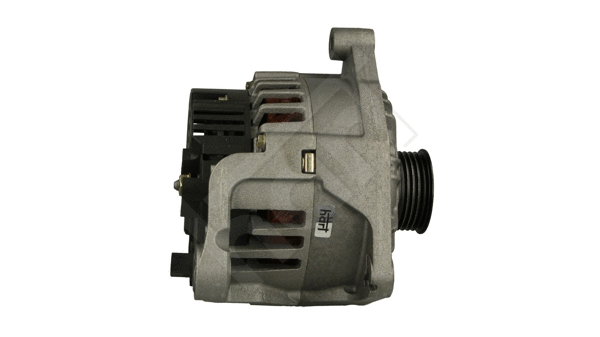 Alternator (542 397)