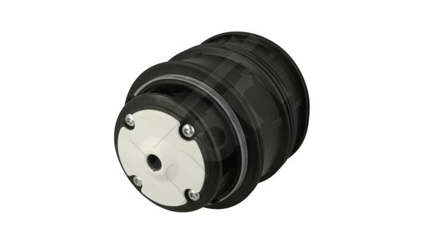 Air Spring, suspension (813 021)