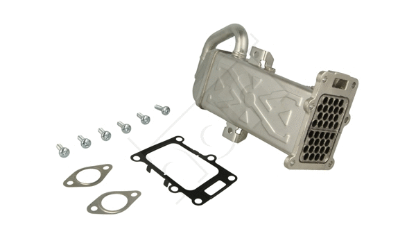 EGR Module (563 133)