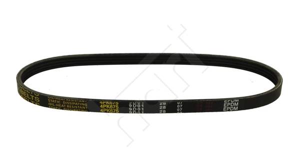 V-Ribbed Belt (334 016)