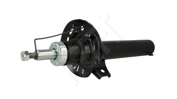 Shock Absorber (810 058)