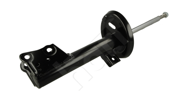 Shock Absorber (807 227)