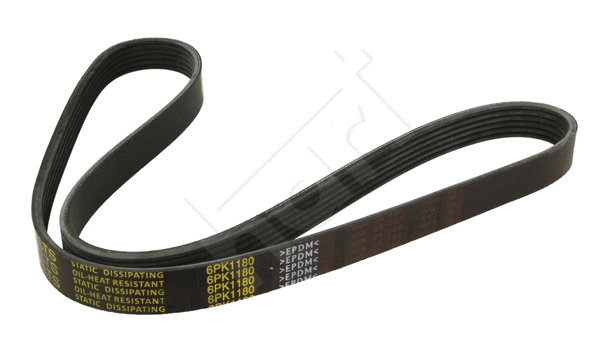 V-Ribbed Belt (334 318)