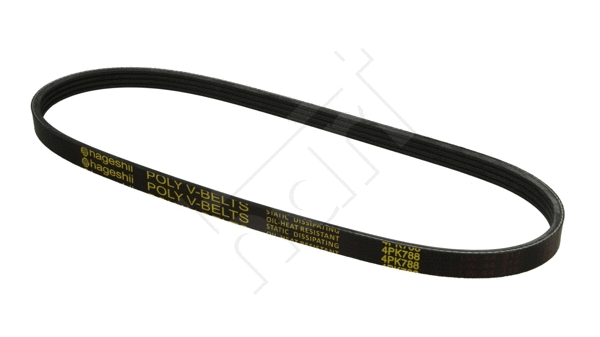 V-Ribbed Belt (331 758)