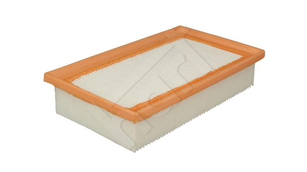 Air Filter (920 456)