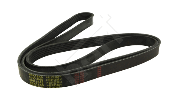 V-Ribbed Belt (368 966)