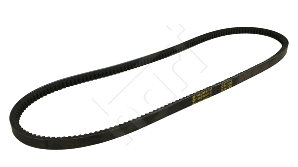 V-Ribbed Belt (334 195)