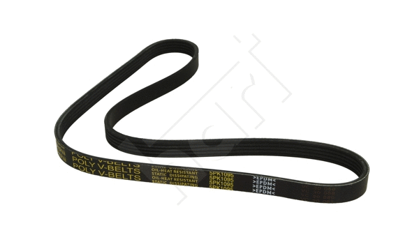 V-Ribbed Belt (917 789)