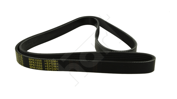 V-Ribbed Belt (368 902)
