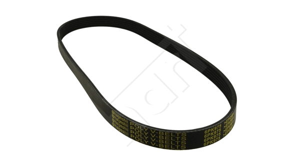 V-Ribbed Belt (368 802)
