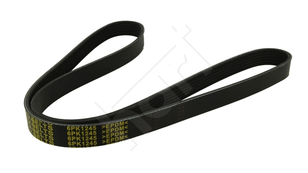 V-Ribbed Belt (368 923)