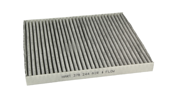Filter, cabin air (378 244)