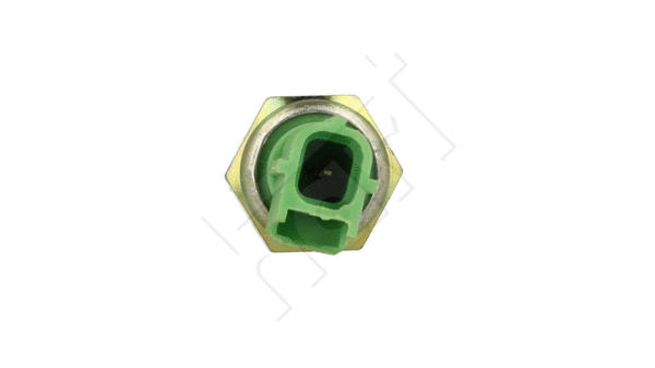 Oil Pressure Switch (534 283)