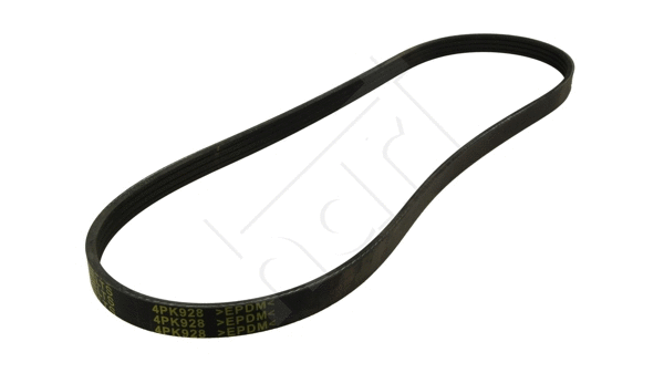 V-Ribbed Belt (368 859)